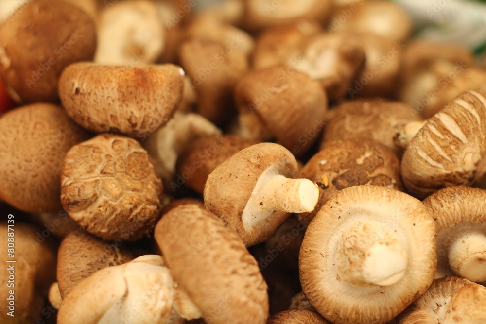 fresh mushrooms in the market