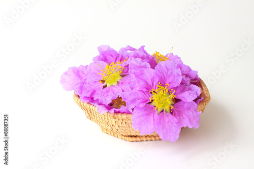 Flowers basket - Stock Image