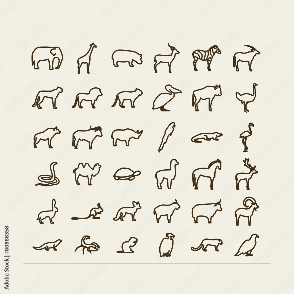 Animals - desert, savanna, mountains Animals - desert, savanna, mountains