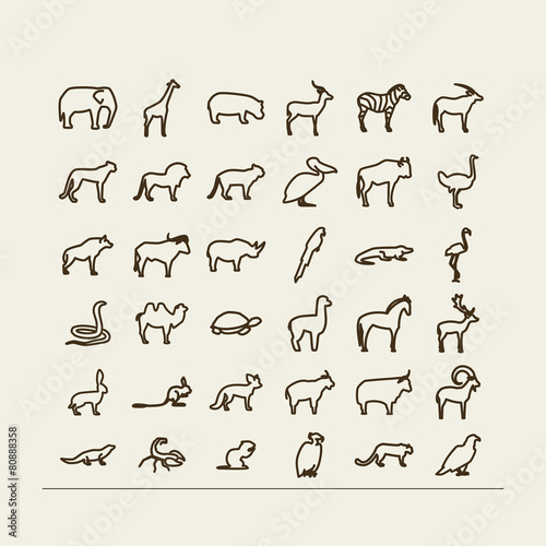 Animals - desert, savanna, mountains