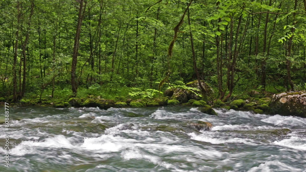 River in Caucasus mountains forest, near lake Ritsa, Abkhazia River in Caucasus mountains forest, near lake Ritsa, Abkhazia