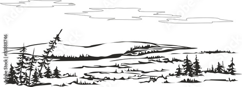 Forest-tundra