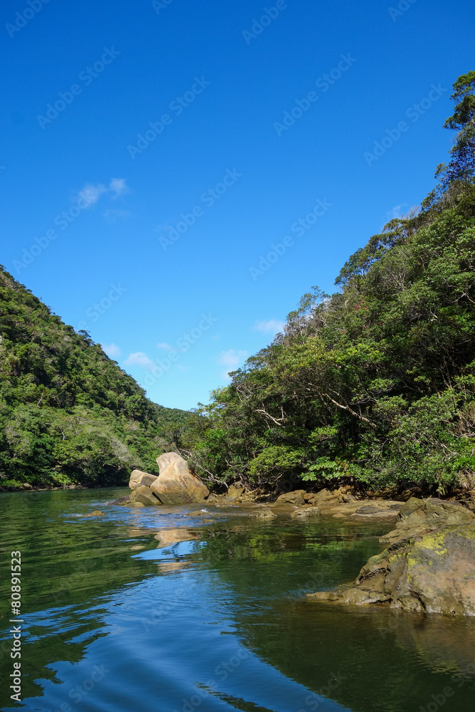 Fototapeta premium 沖縄県 西表島 浦内川