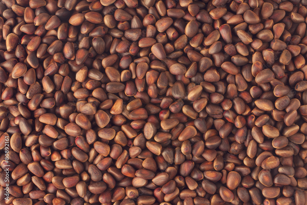 Cedar nuts background Cedar nuts background