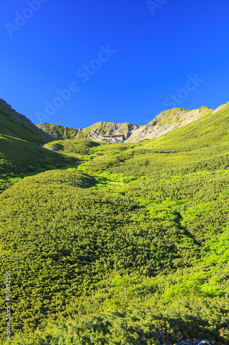 Southern Alps Mt. Senjougatake, Yamanashi, Japan photo