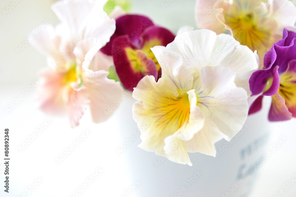 Naklejka premium フリルのパンジー