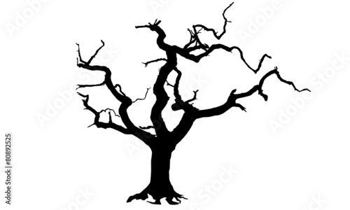 Tree vector