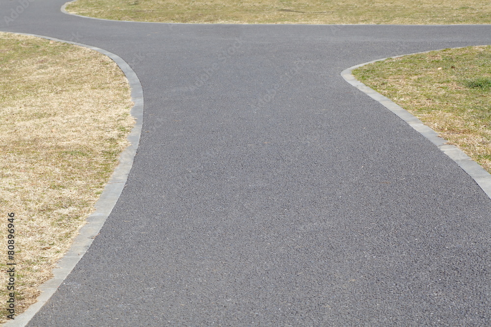 Obraz premium Long pathway through the public green park .