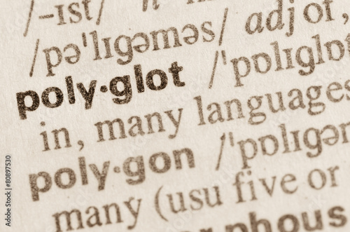Dictionary definition of word polyglot
