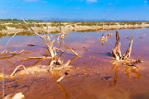 Mallorca Es Trenc Ses Salines saltworks in Balearic photo