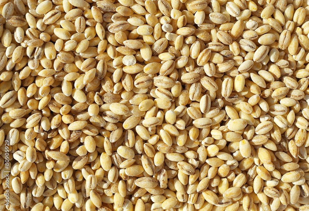pearl barley pearl barley