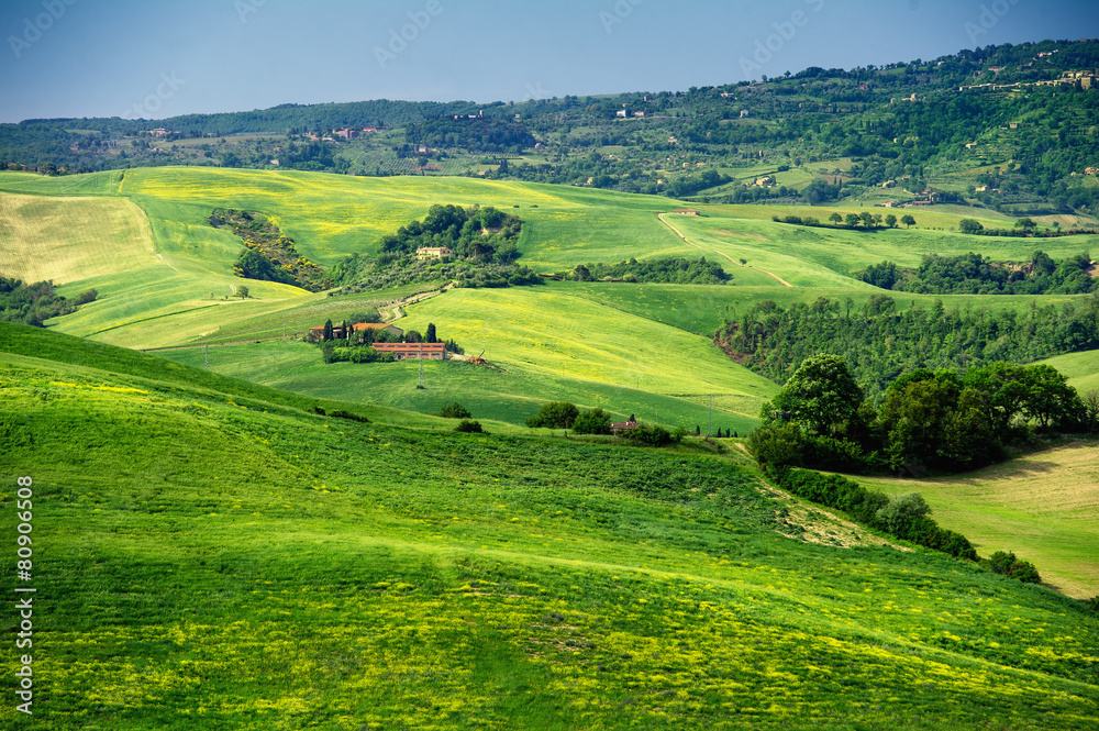 Obraz premium Tuscany - Italy