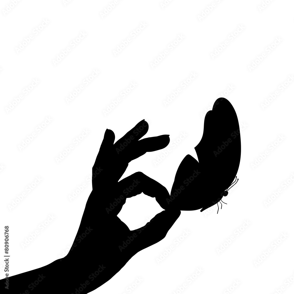 Vector illustration of a butterfly. Vector illustration of a butterfly.