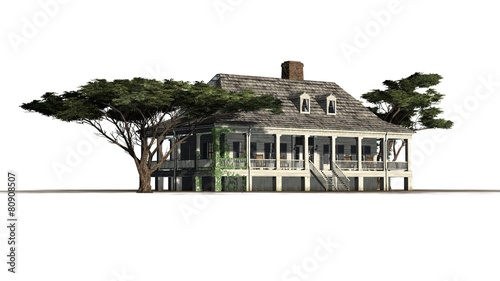 Schilderij op canvas Plantation Houses with umbrella pine trees