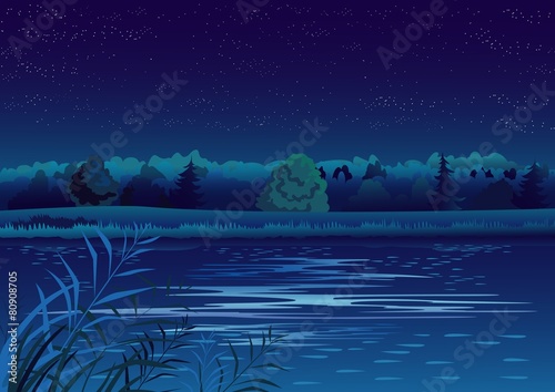 Night landscape with pond