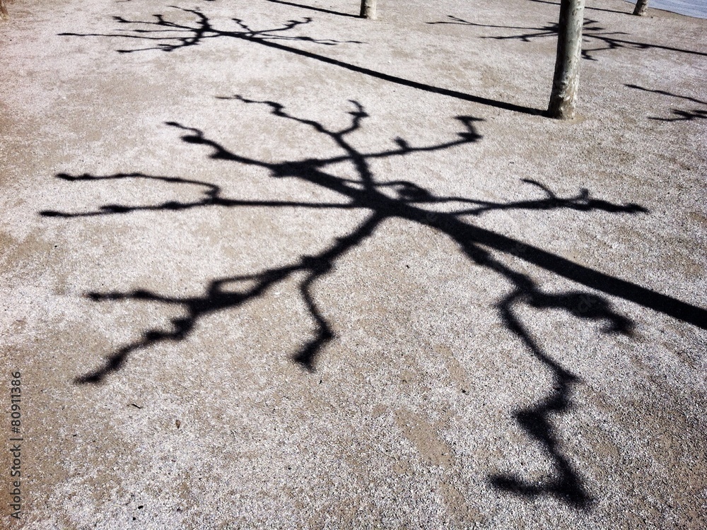 Obraz premium Schattenwurf