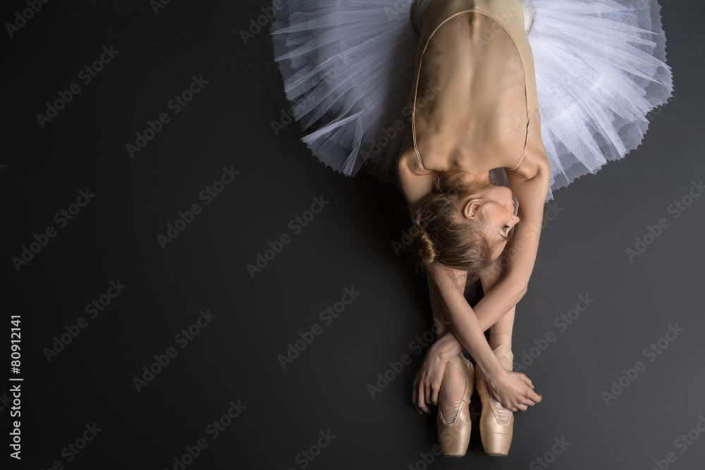 Graceful ballerina - obrazy, fototapety, plakaty 