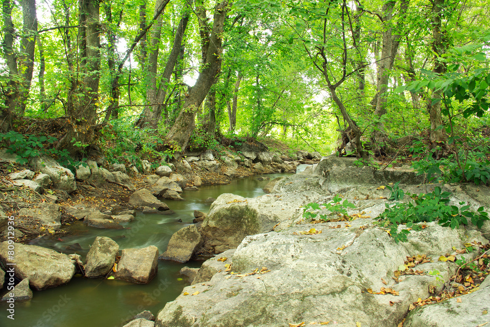 landscape of river, rocks and green trees landscape of river, rocks and green trees
