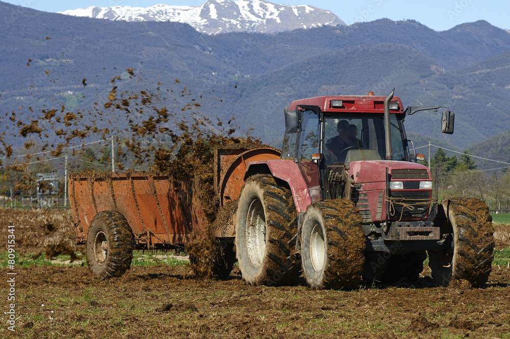 Obraz premium concimazione