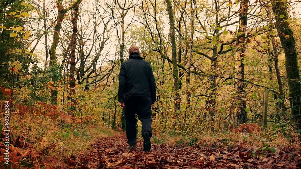 Man Walks Down Path In Woods Man Walks Down Path In Woods