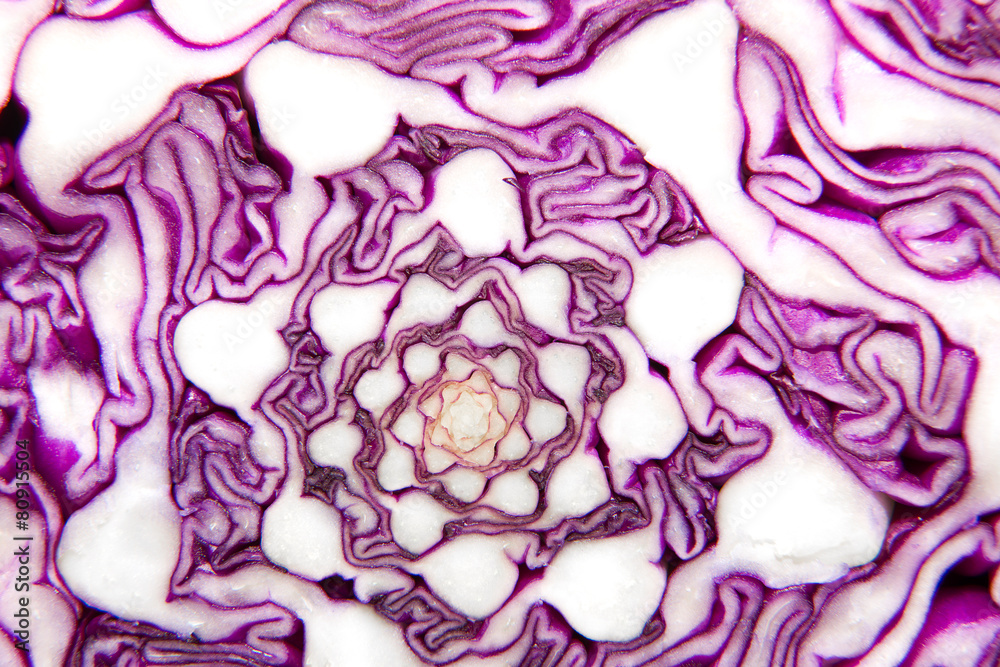 Obraz premium The fruit of red cabbage cut knife