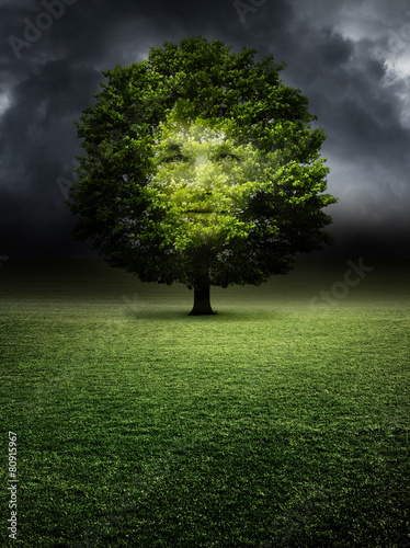 Doppelbelichtung Porträt im Baum