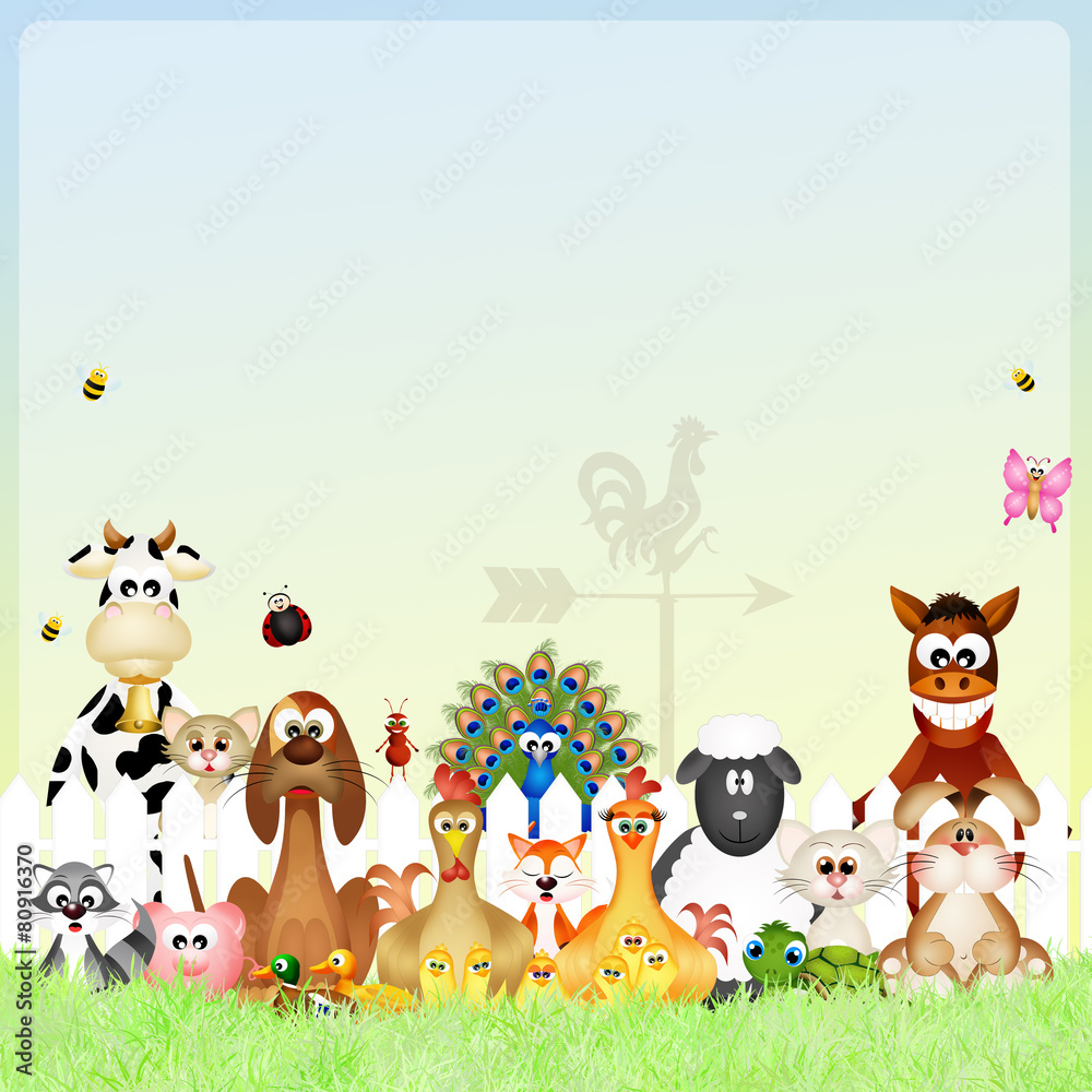 Obraz premium zwierzęta hodowlane