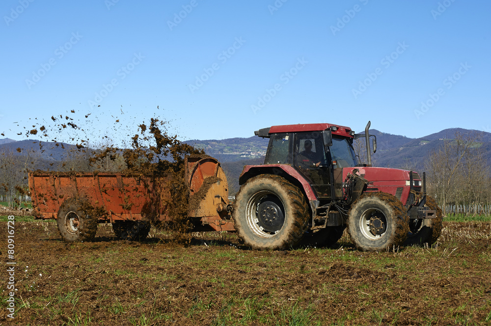 Obraz premium concimazione