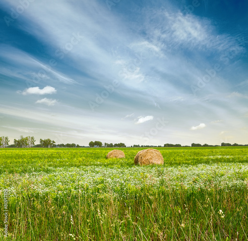 sky and green fields photo