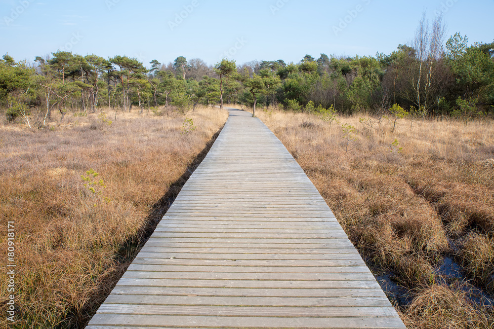 Wooden path in grass and forest winter landscape
