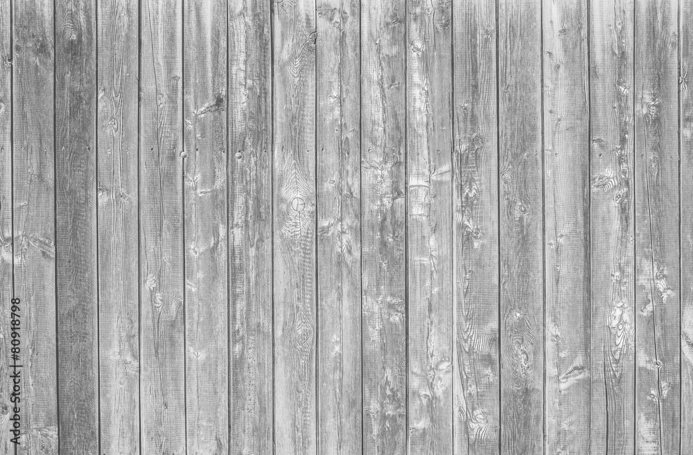 Fototapeta premium gray background