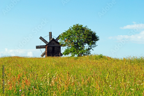 Windmill and tree in the field