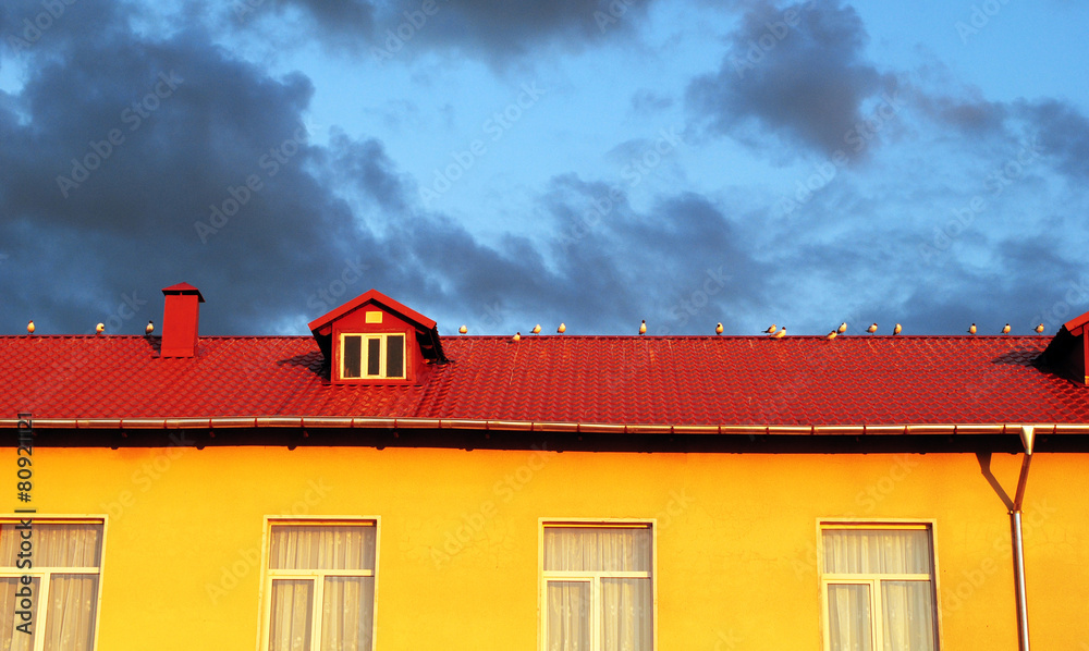 Gulls on the roof Gulls on the roof