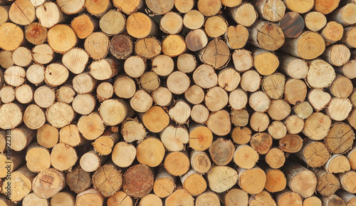 Cross section of the timber  firewood stack for the background