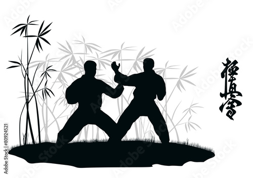 Two men are engaged karate, an illustration.