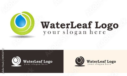 Water Leaf Logo Vector