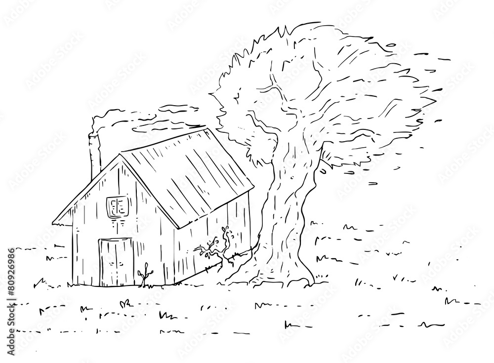 Obraz premium house vector draw