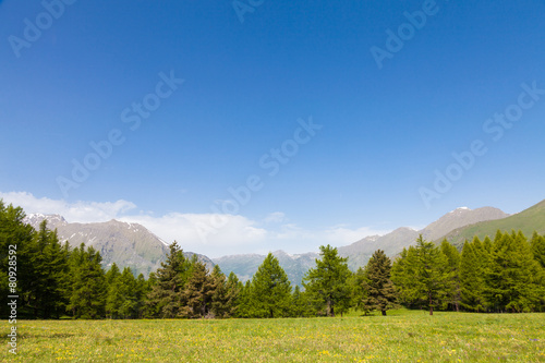 Italian Alps