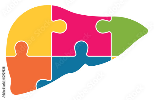 Human Liver Jigsaw Puzzle Pieces Abstract Vector