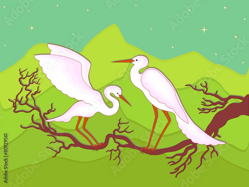 Pair of storks on a branch