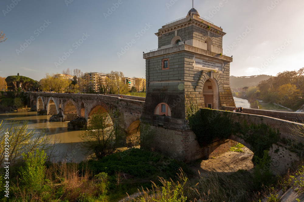 Fototapeta premium Roma Ponte Milvio