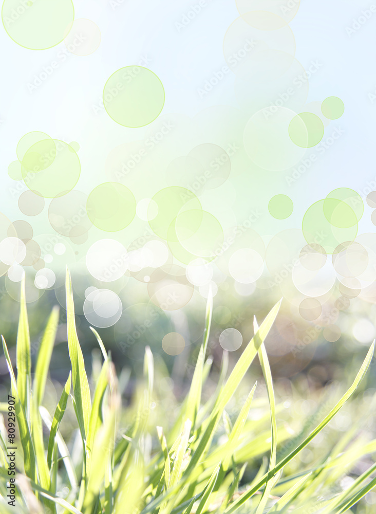 Fototapeta premium Spring background