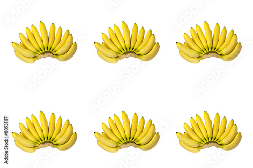 Six Brunches of Yellow Baby Bananas