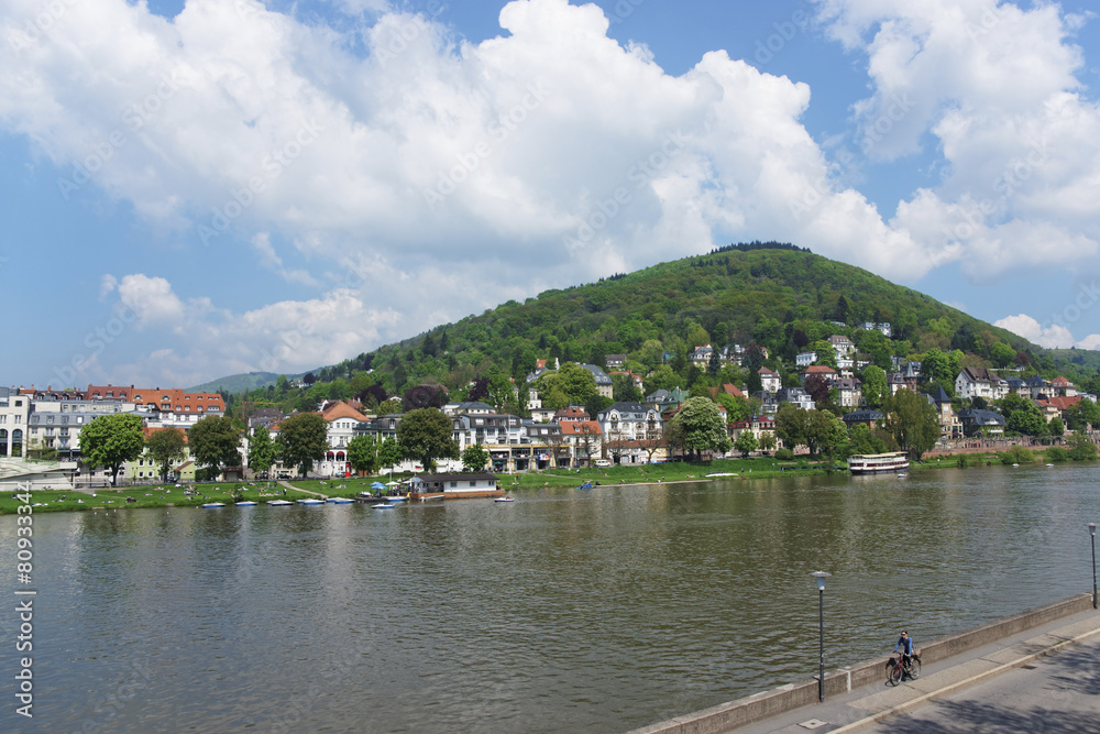 Landscape of Quay of Neckar river in summer Heidelberg