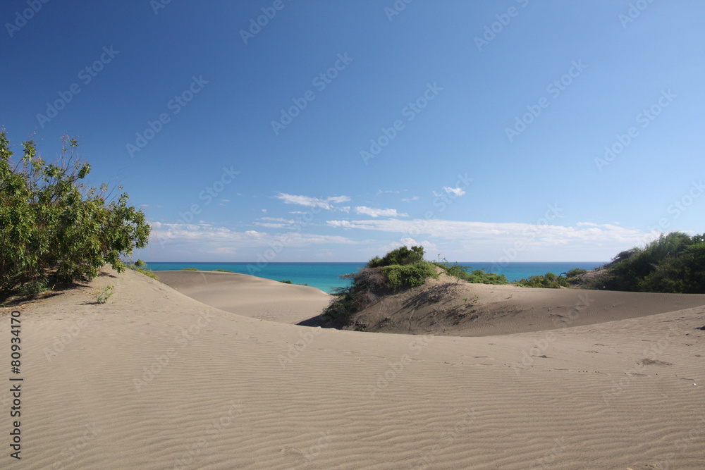République Dominicaine - Las dunas de las Salinas, ondulations République Dominicaine - Las dunas de las Salinas, ondulations