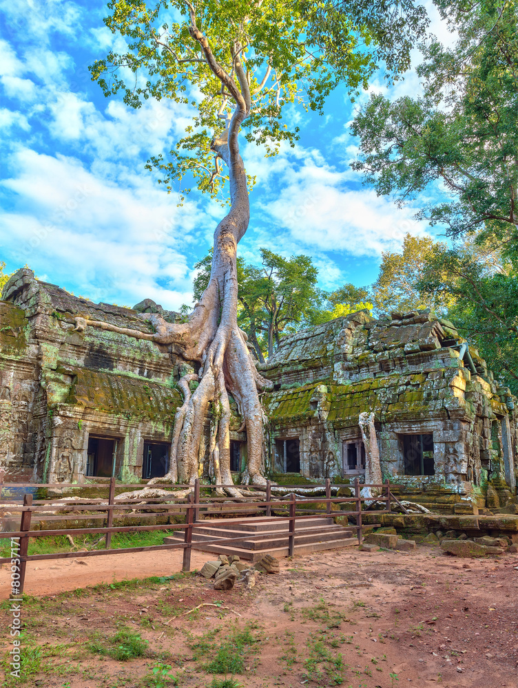 Ta Prohm Temple at Angkor Wat, Siem Reap Cambodia Ta Prohm Temple at Angkor Wat, Siem Reap Cambodia