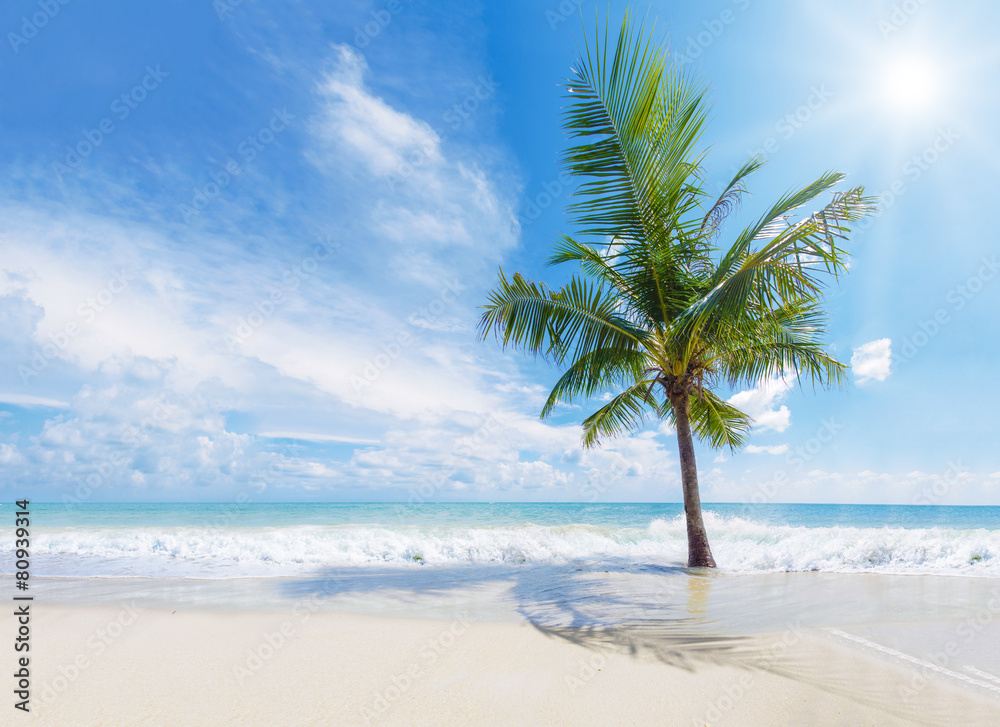 Beautiful beach of Koh Samui Beautiful beach of Koh Samui