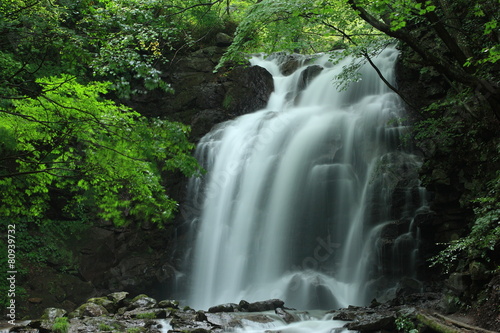 浅間大滝