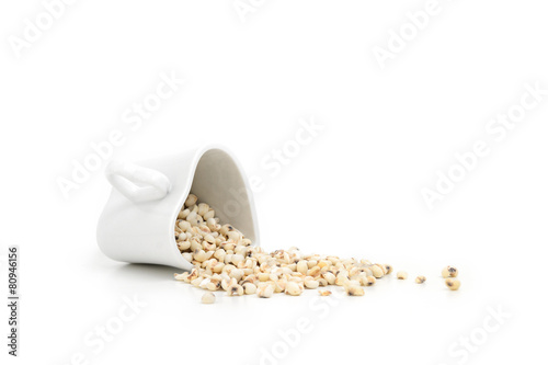 job's tears isolate on white