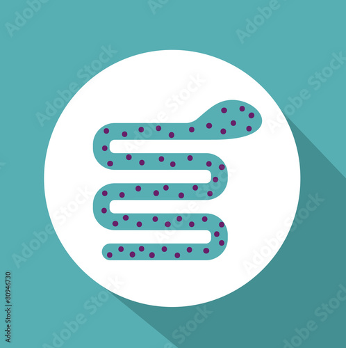Computer worm design